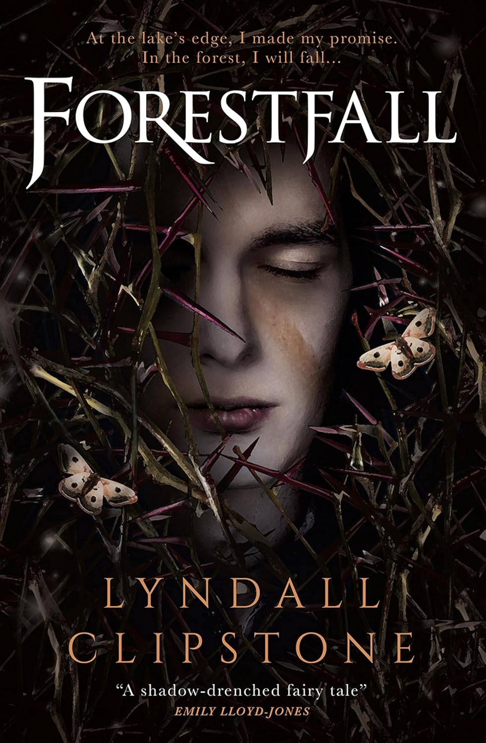 Forestfall by Lyndall Clipstone