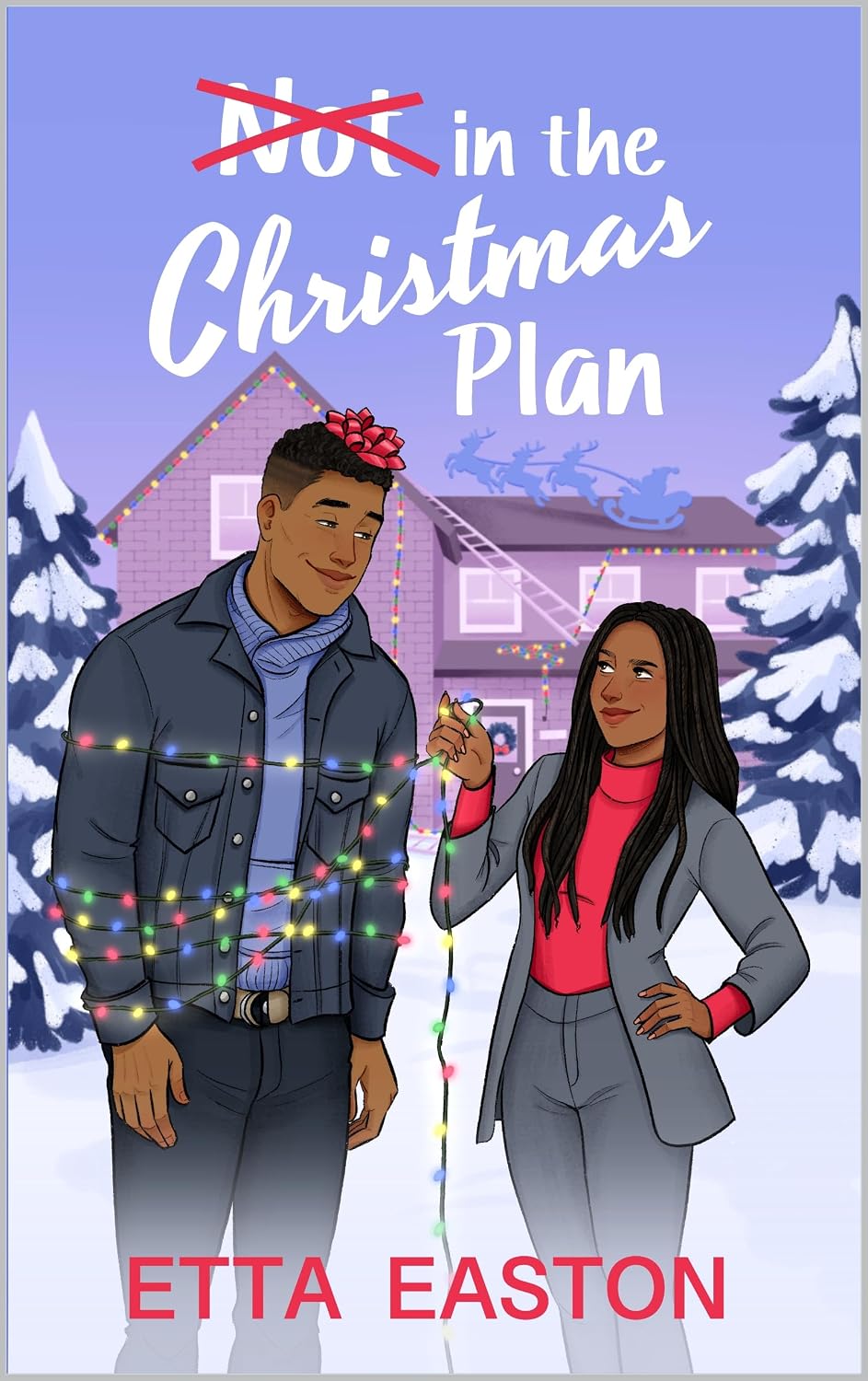 Not in the Christmas Plan cover