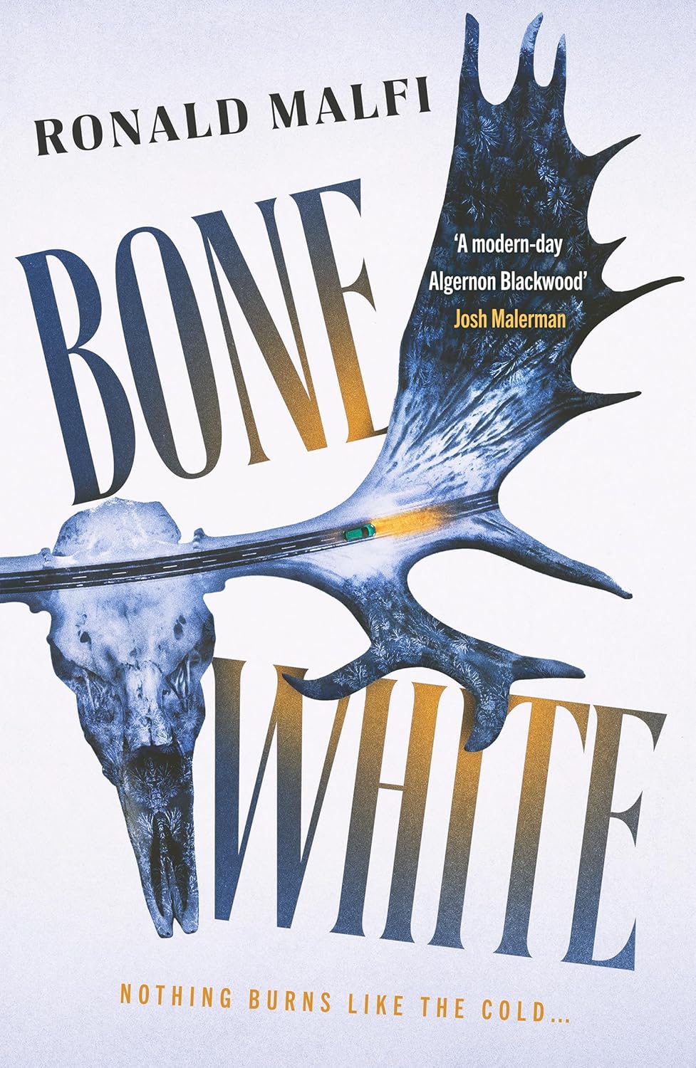 Bone White by Ronald Malfi