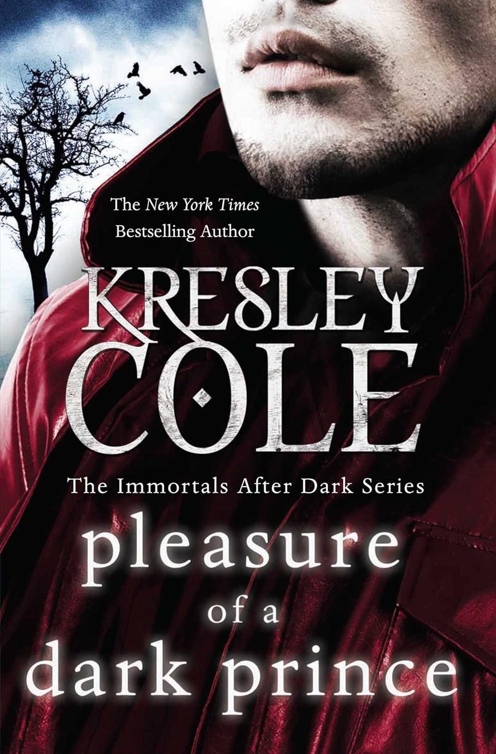 Pleasure of a Dark Prince cover