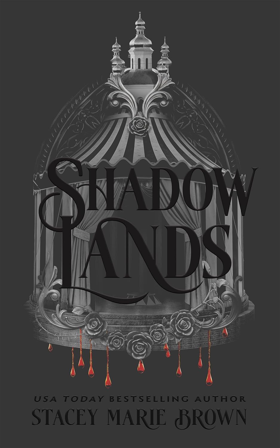 Shadow Lands by Stacey Marie Brown