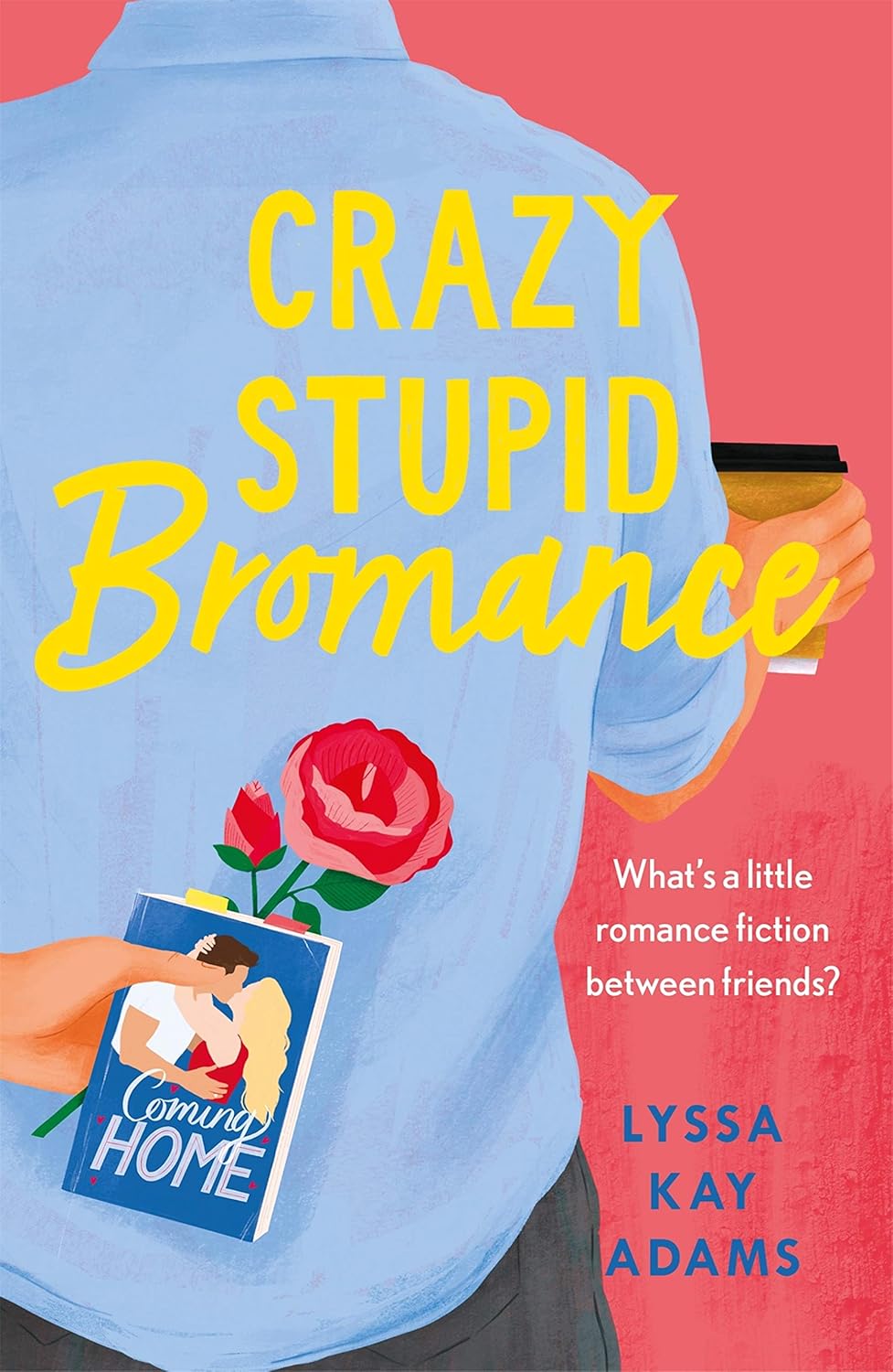 Crazy Stupid Bromance cover