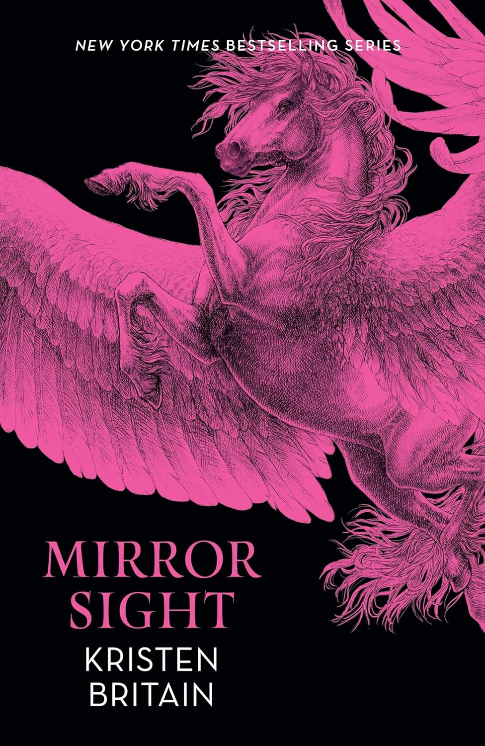 Mirror Sight cover