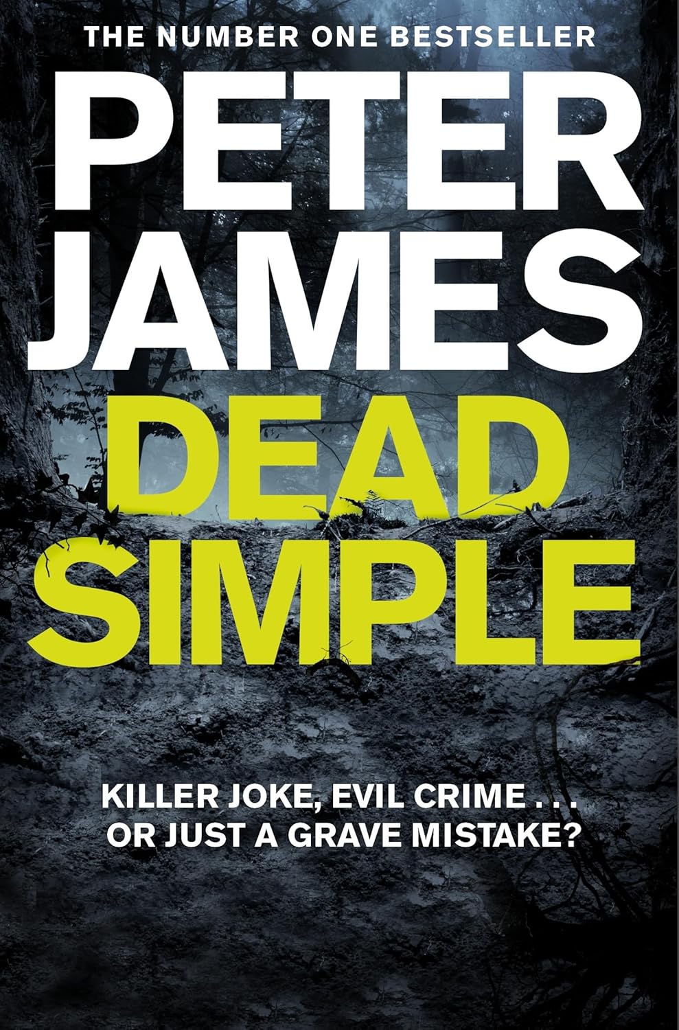 Dead Simple by Peter James