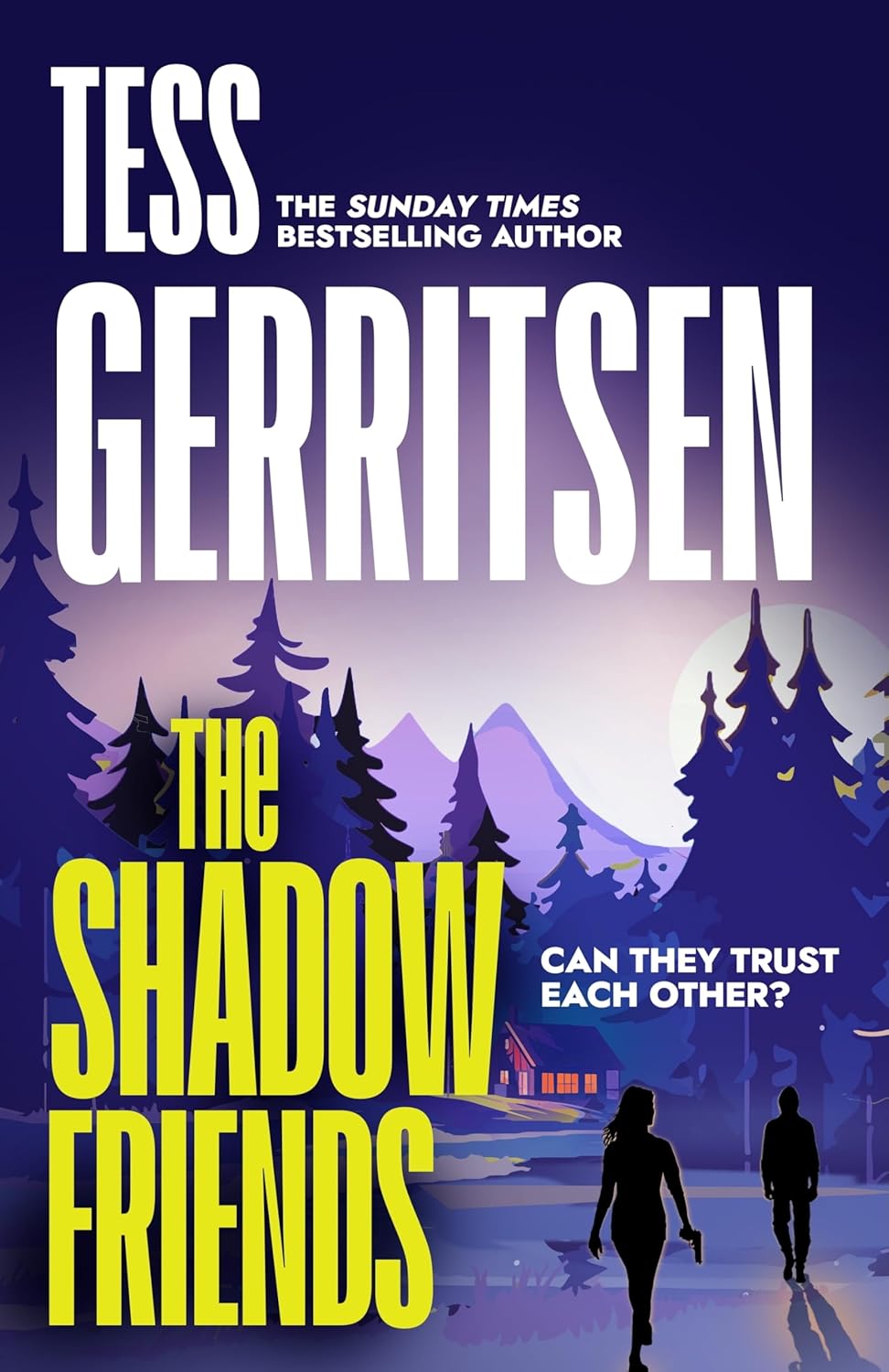 The Shadow Friends cover