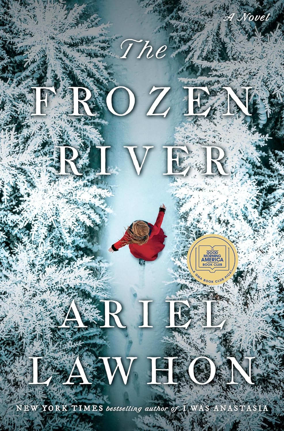 The Frozen River cover