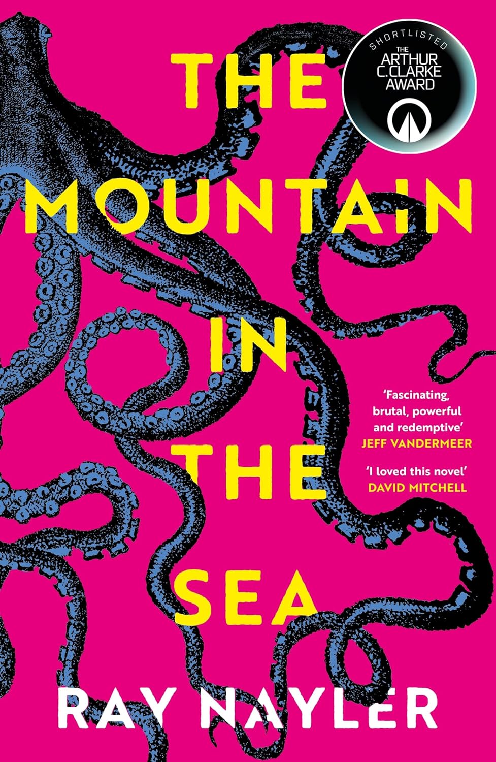 The Mountain in the Sea cover