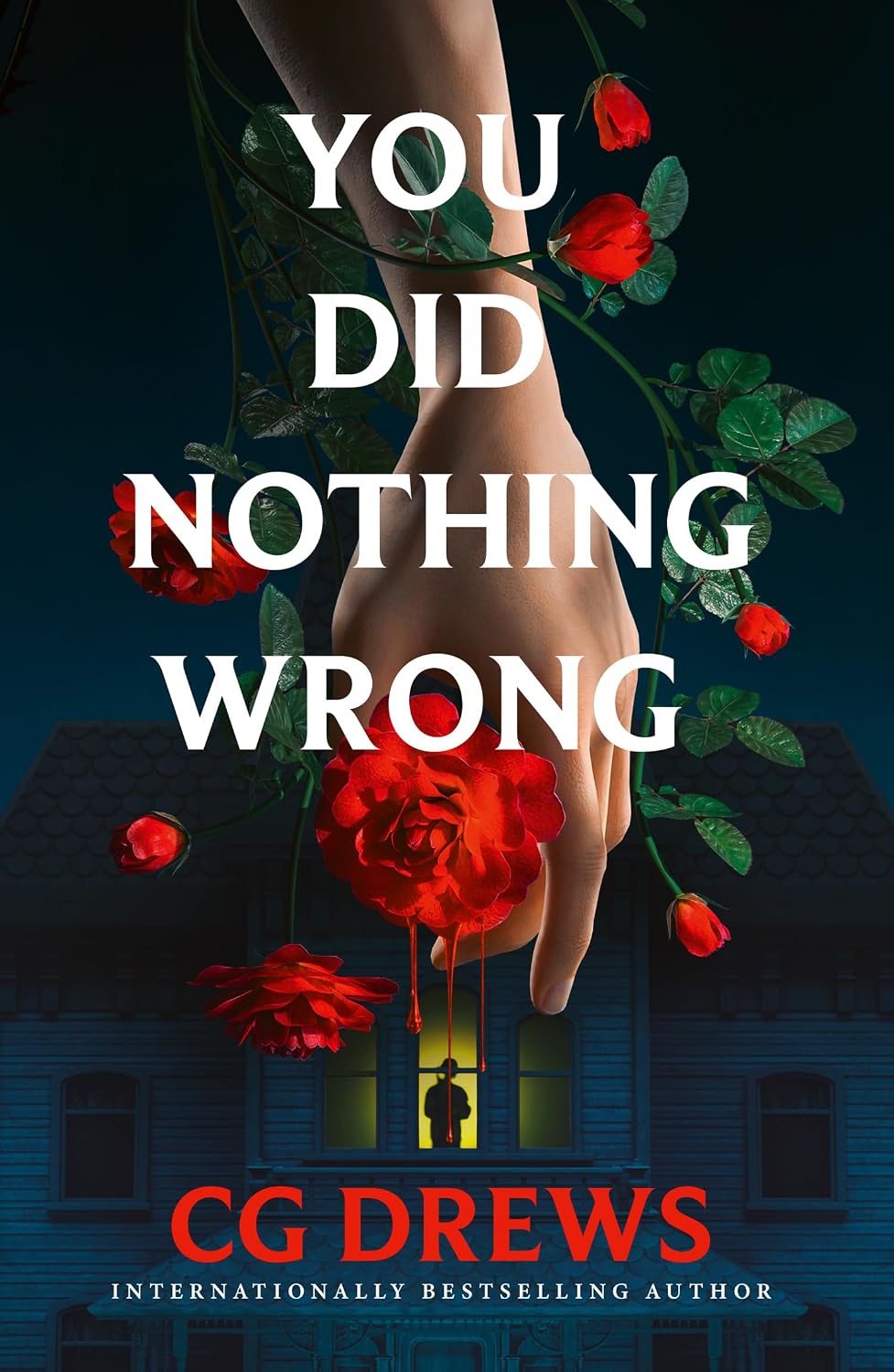 You Did Nothing Wrong cover