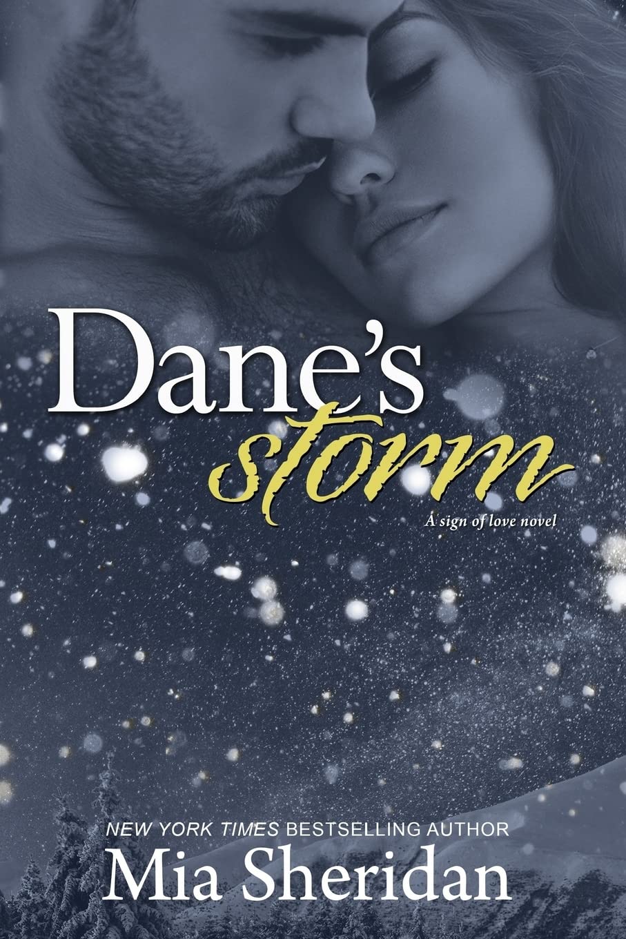 Dane's Storm cover