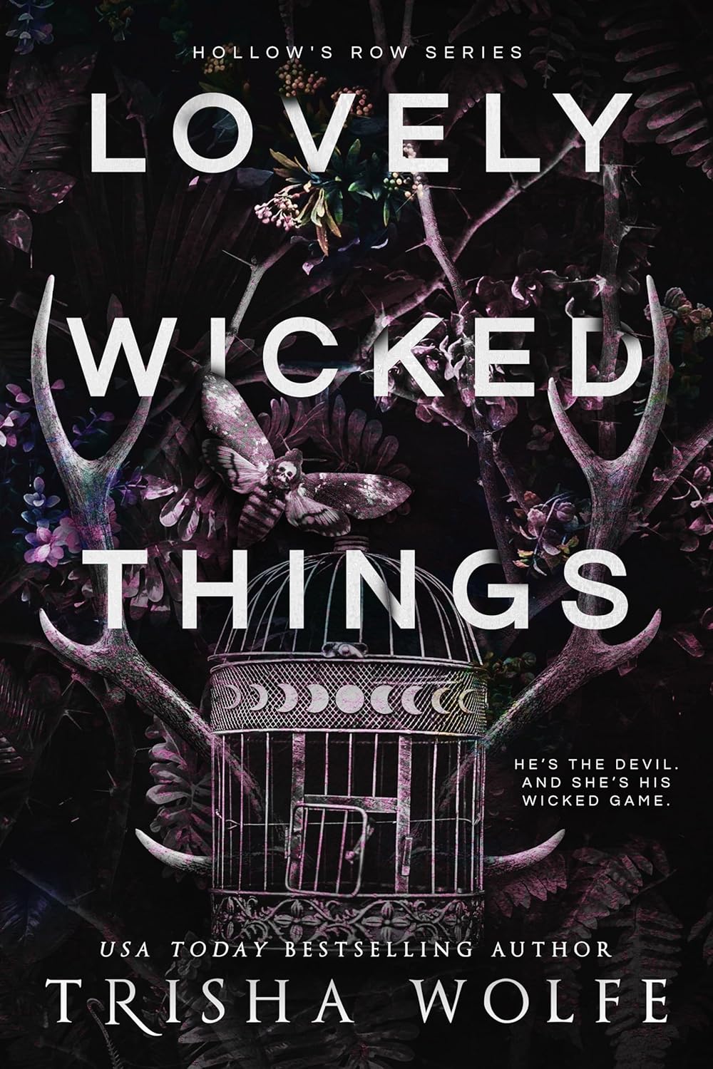 Lovely Wicked Things cover