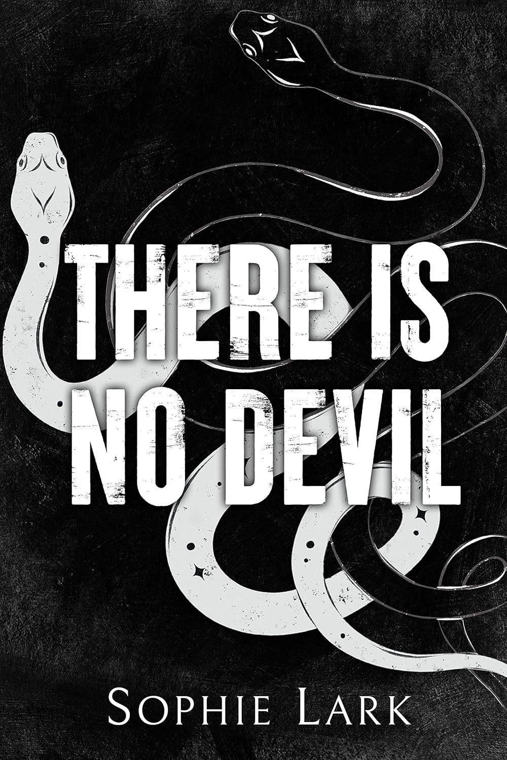 There Is No Devil cover