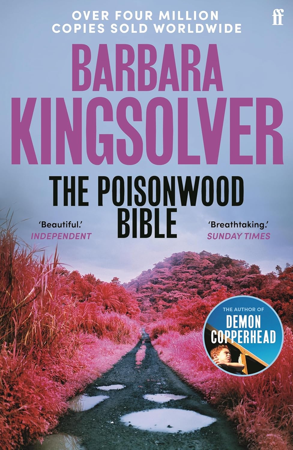 The Poisonwood Bible cover