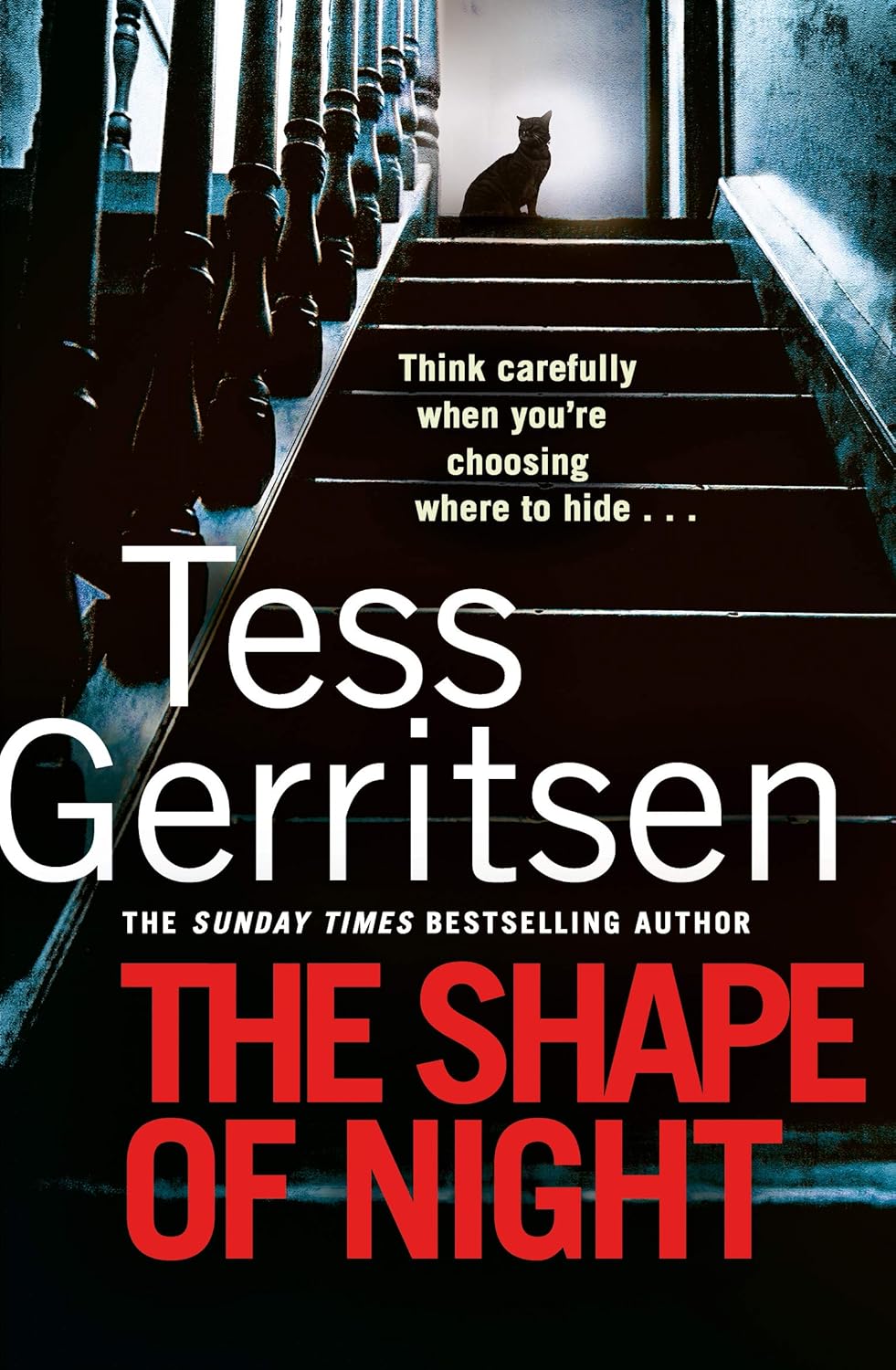 The Shape of Night by Tess Gerritsen