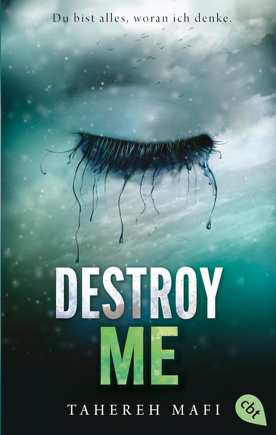 Destroy Me by Tahereh Mafi
