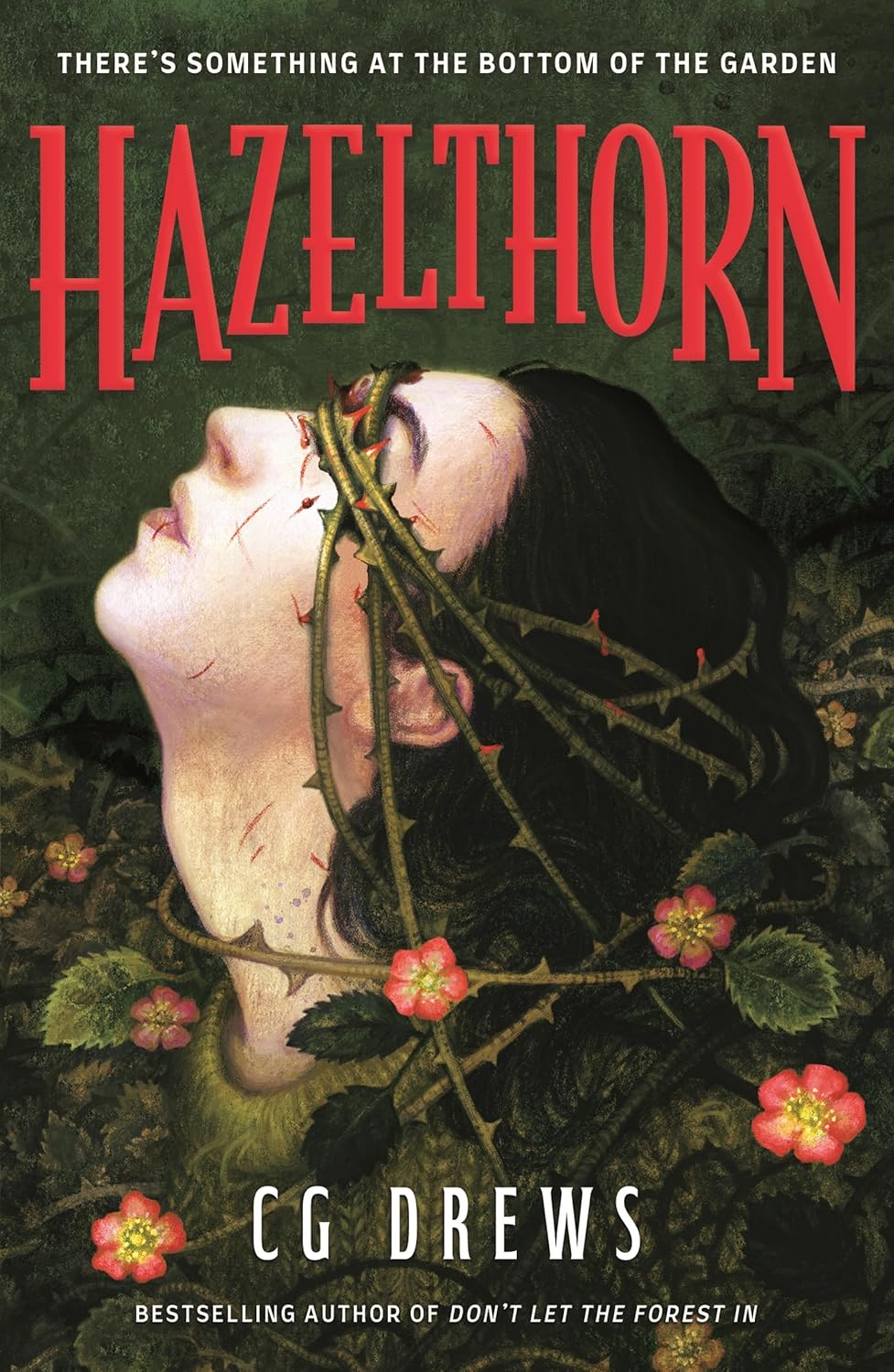 Hazelthorn by C. G. Drews