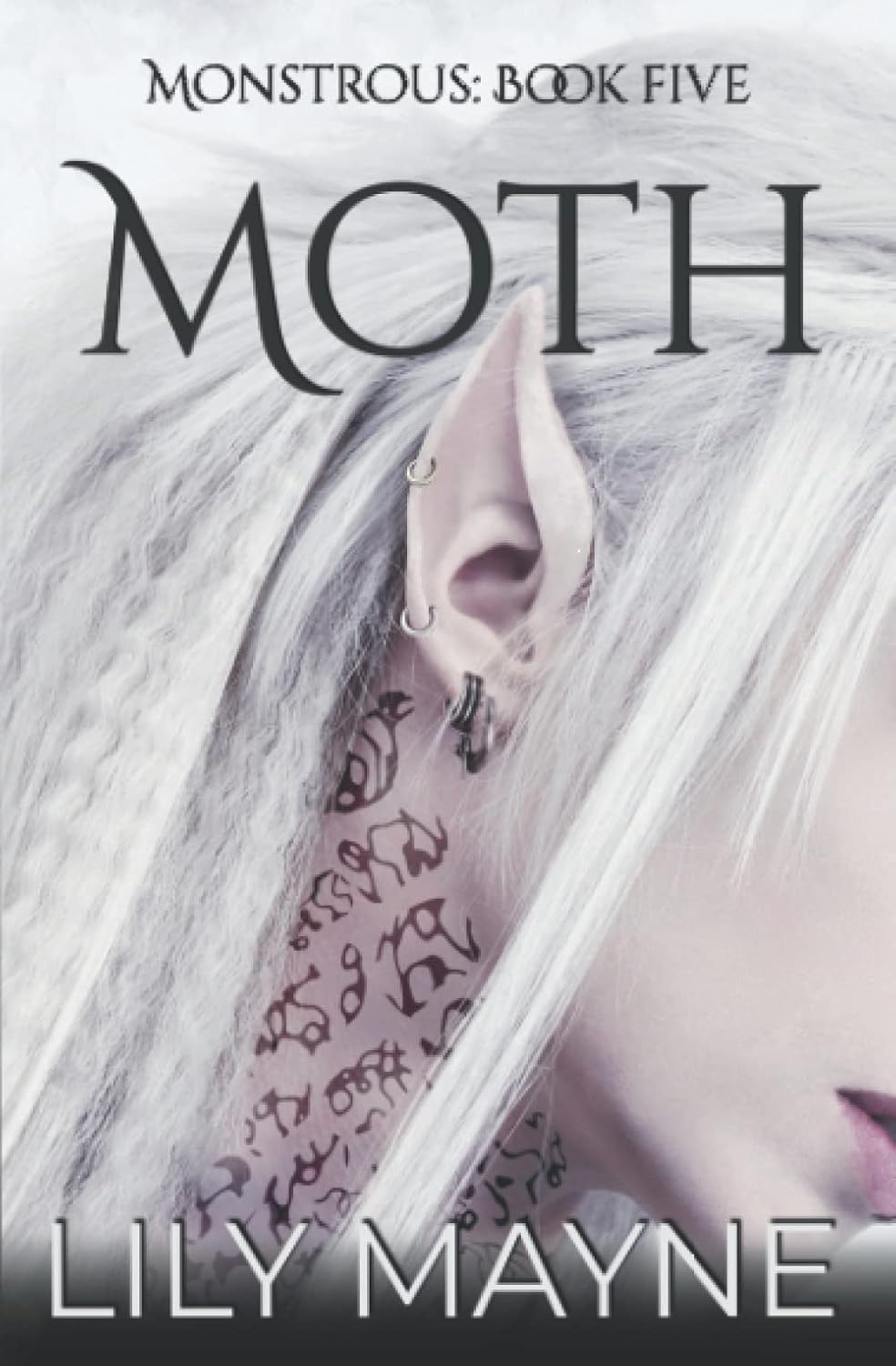 Moth by Lily Mayne