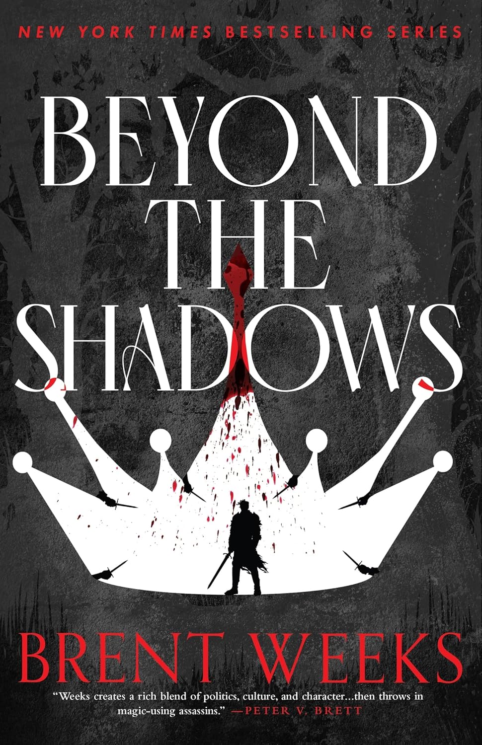 Beyond the Shadows cover