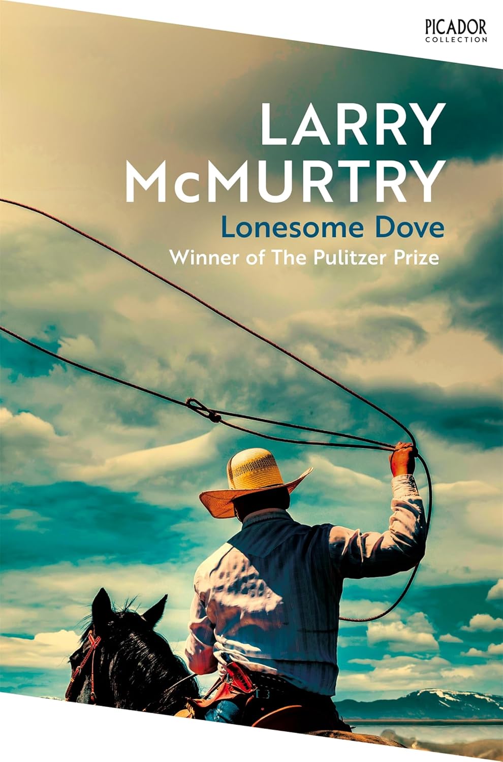 Lonesome Dove by Larry McMurtry