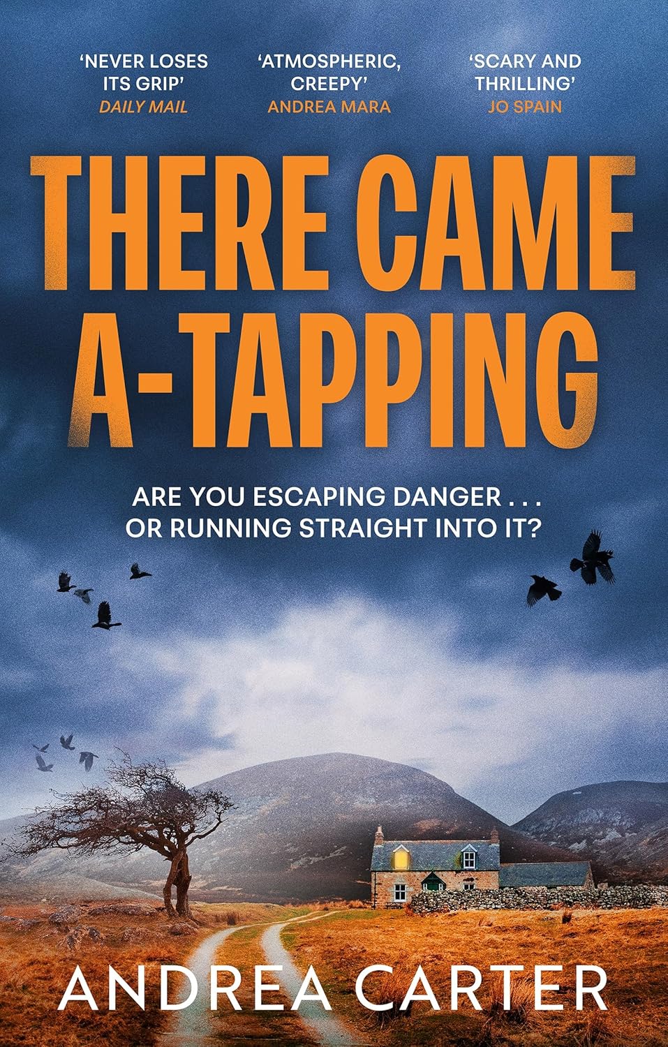 There Came a-Tapping by Andrea Carter