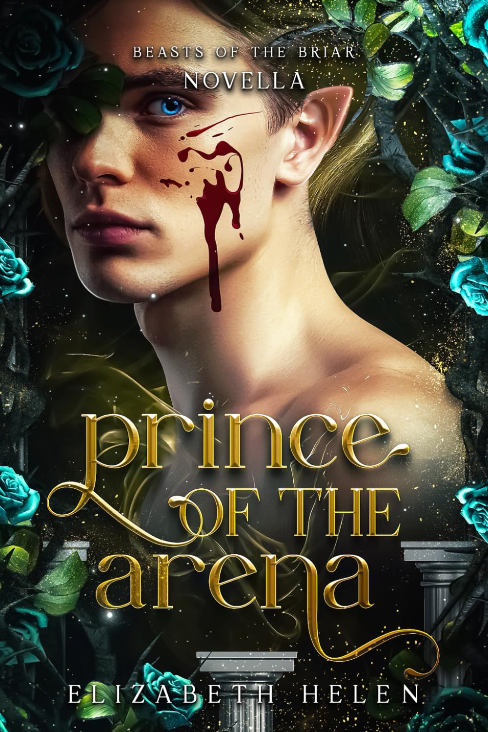 Prince of the Arena by Elizabeth Helen