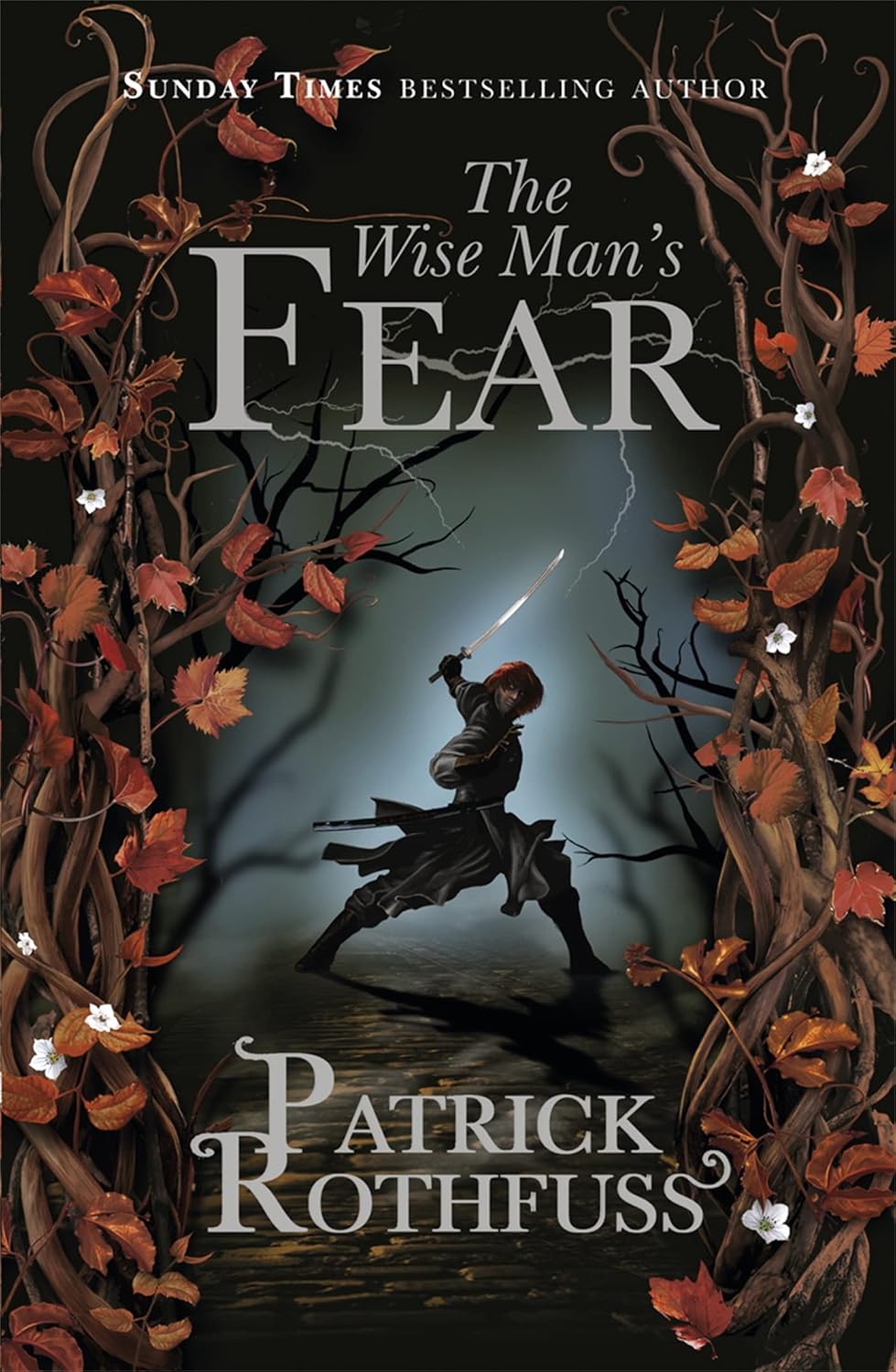 The Wise Man’s Fear by Patrick Rothfuss