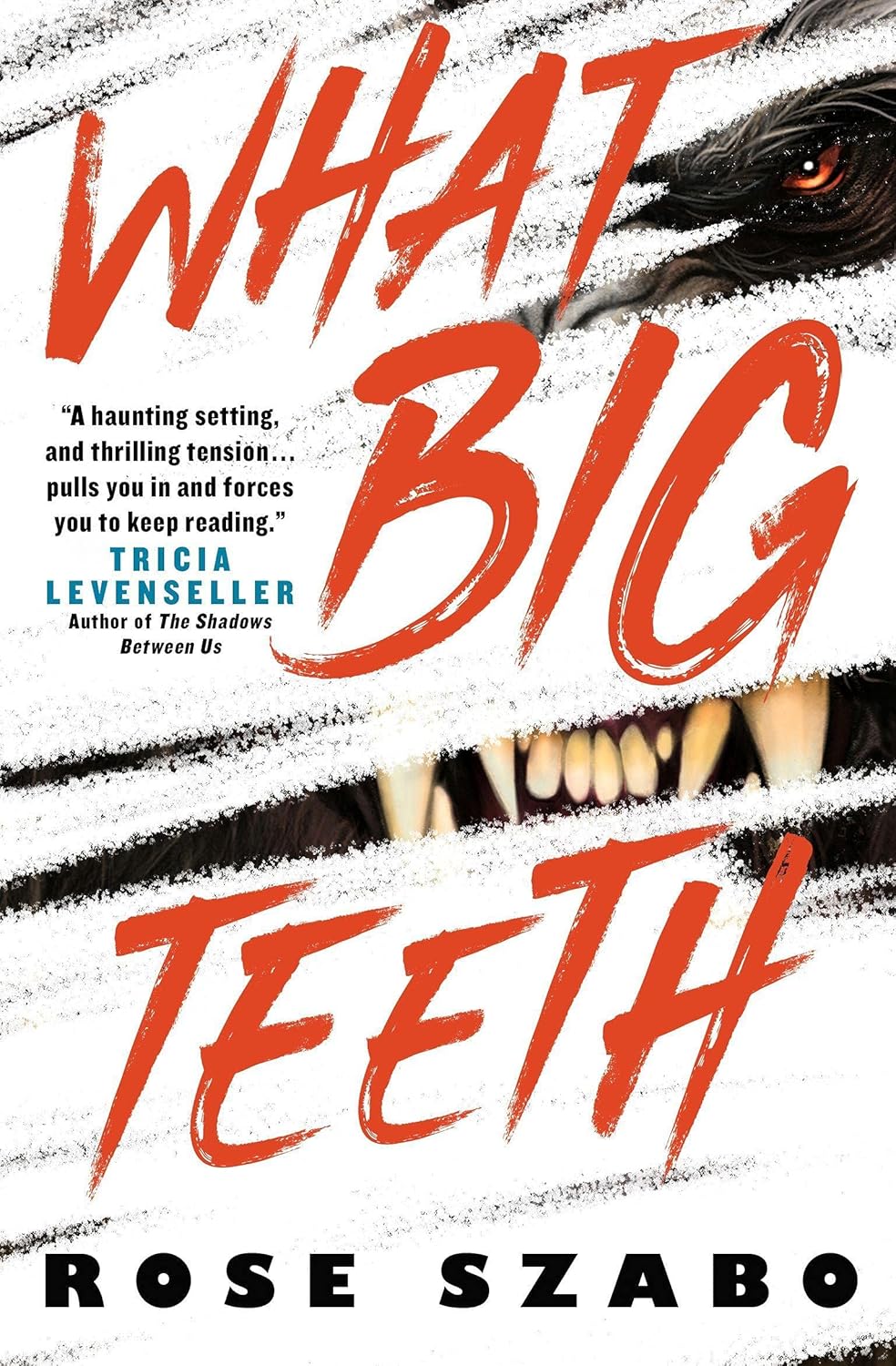 What Big Teeth cover
