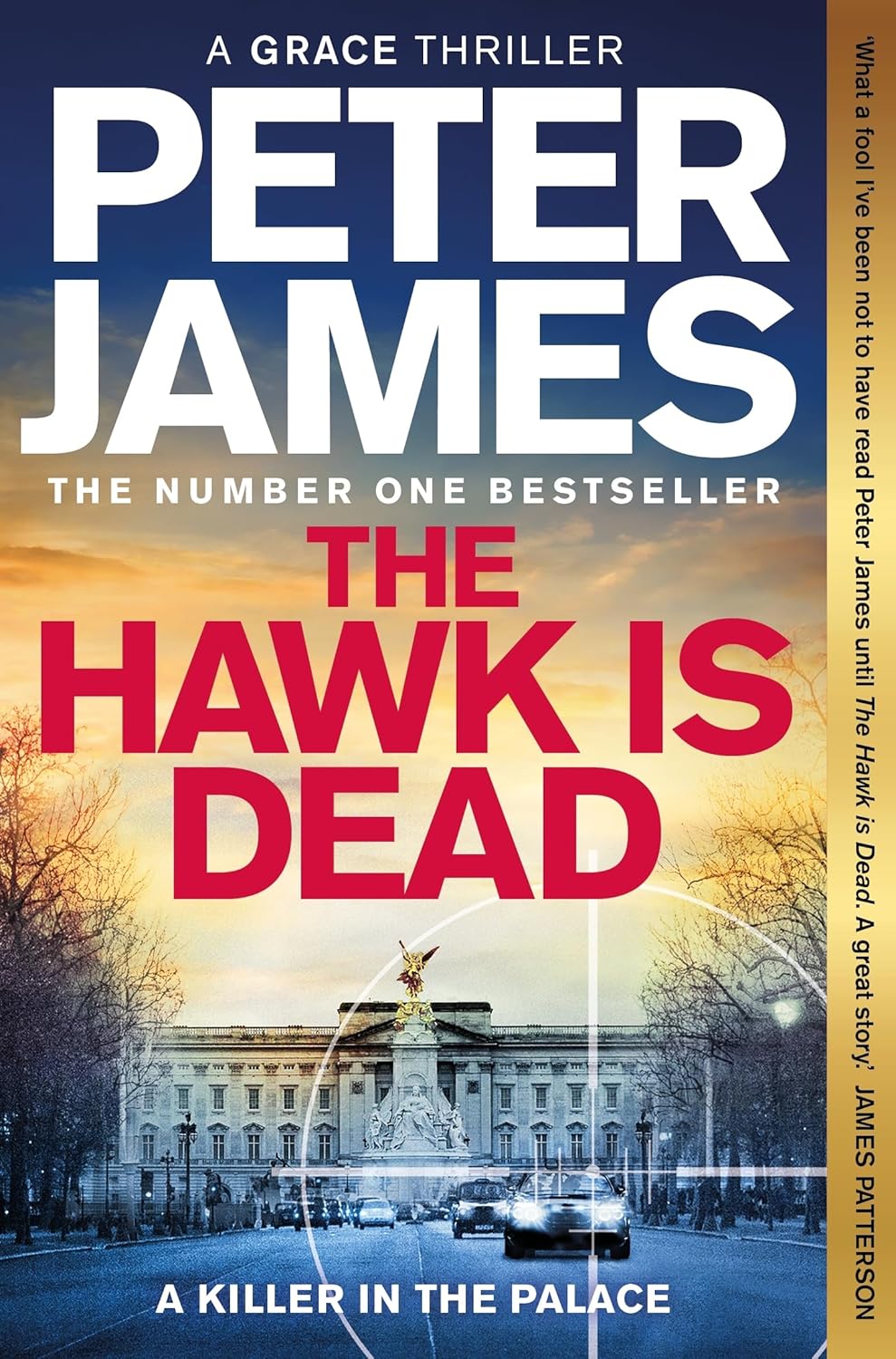 The Hawk Is Dead by Peter James