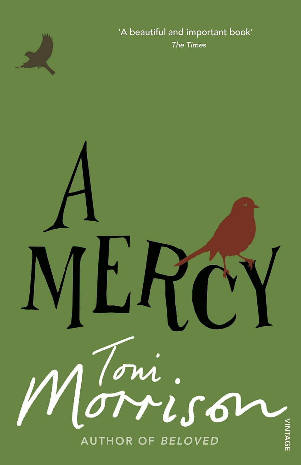 A Mercy by Toni Morrison