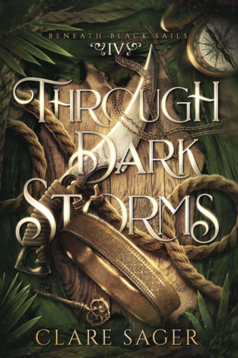 Through Dark Storms by Clare Sager